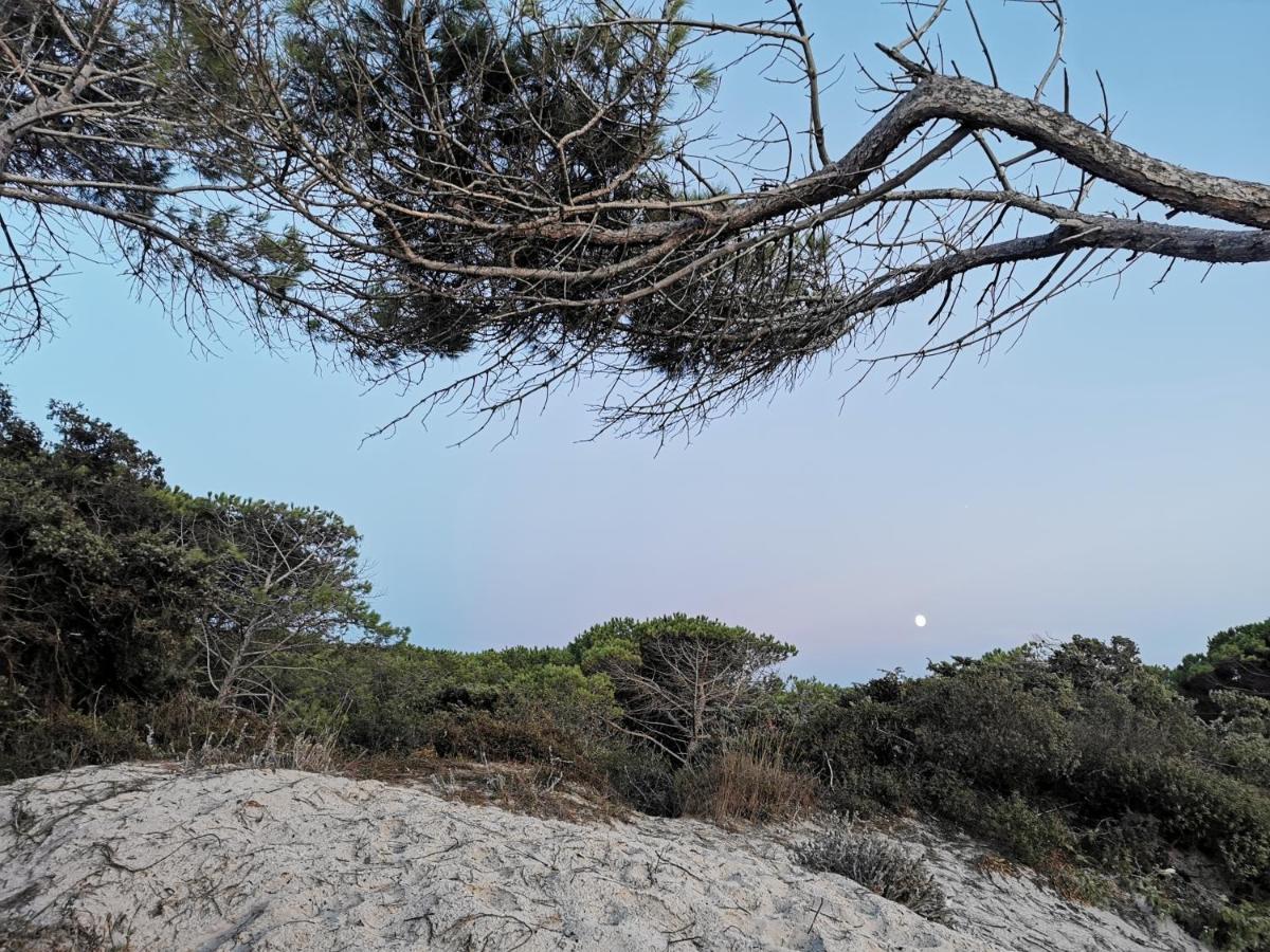 אלגהרו Alghermanzoni מראה חיצוני תמונה